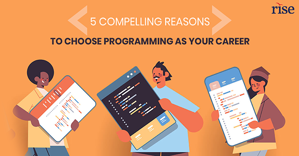 reasons to select programming as career